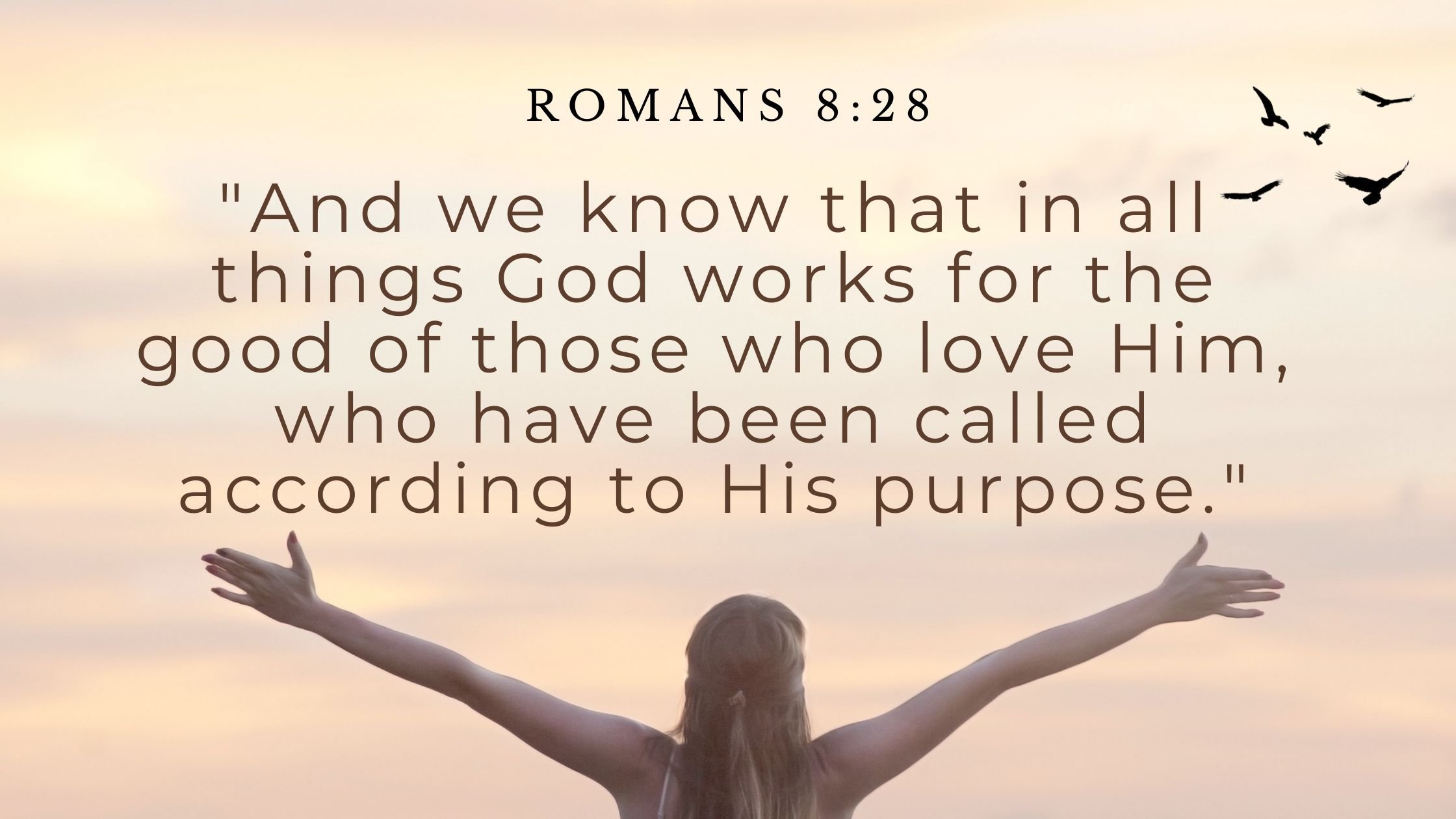 Romans 8:28