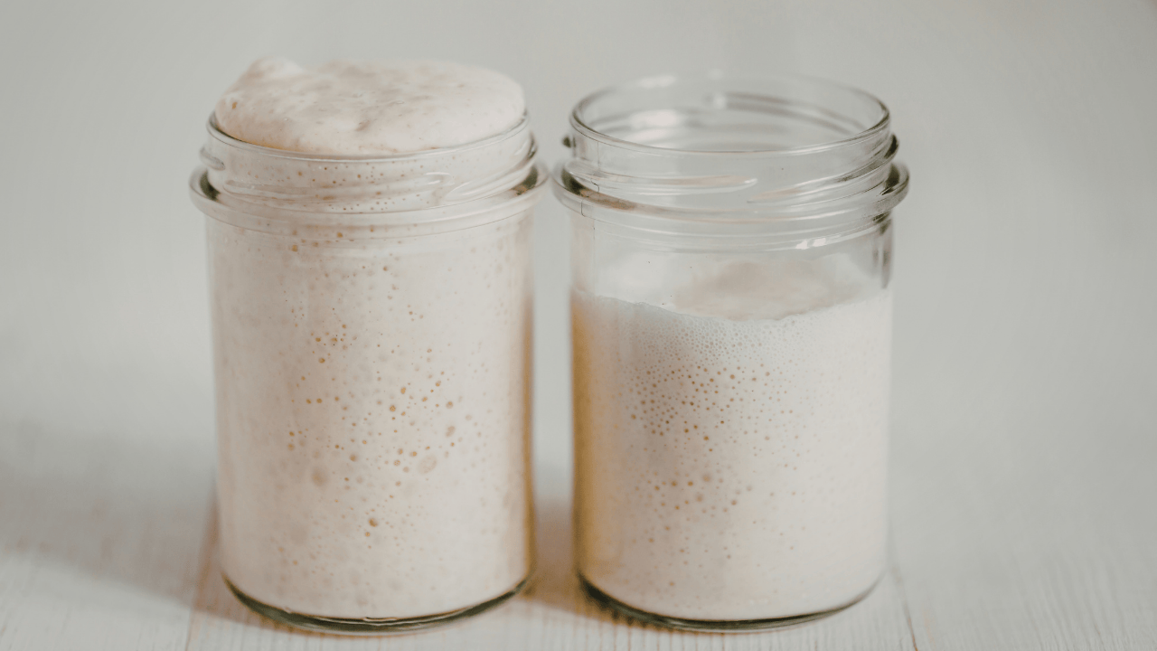 sourdough recipes using sourdough starter