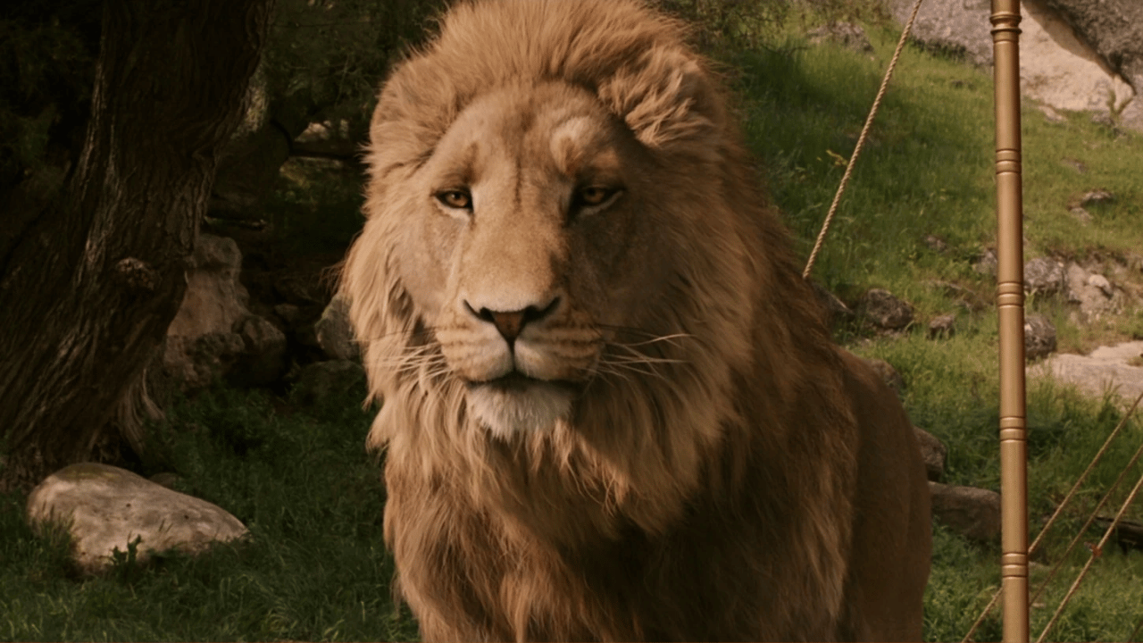 narnia high king peter