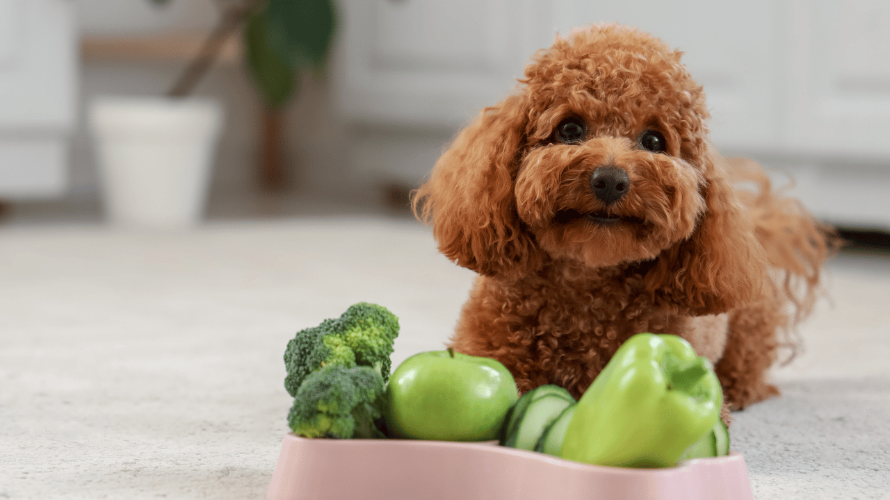 do dogs eat vegetables​