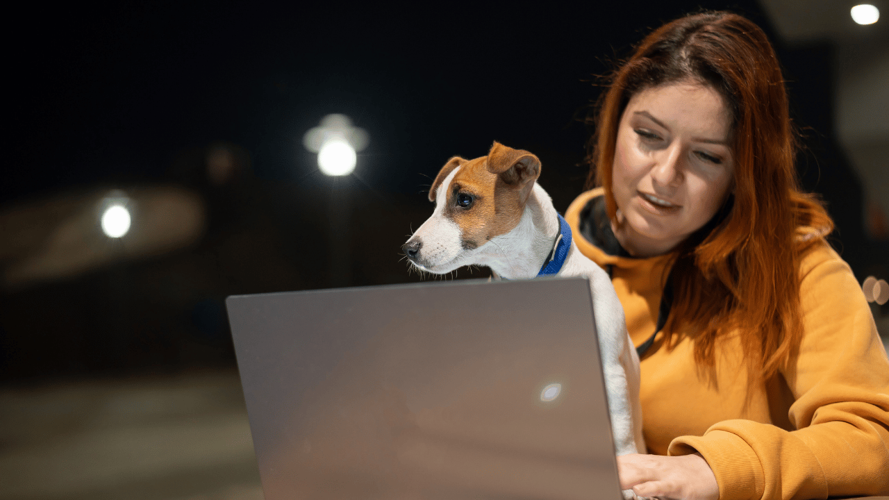 vet virtual care​