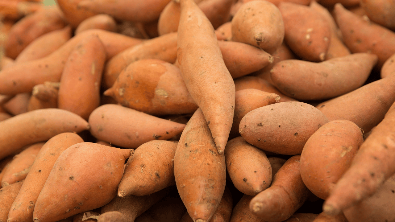 veggies that boost immune system​