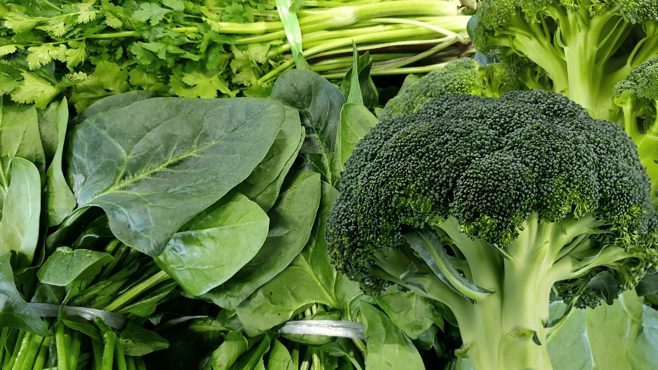 foods that help immune system​