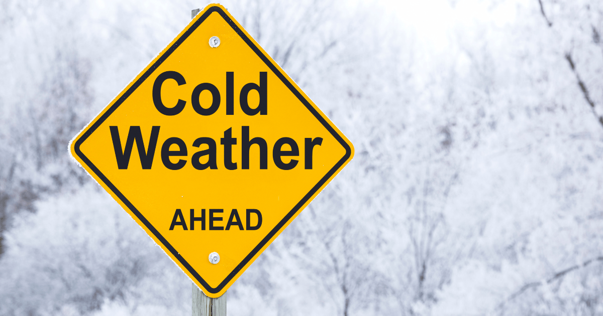 Face cream for dry skin