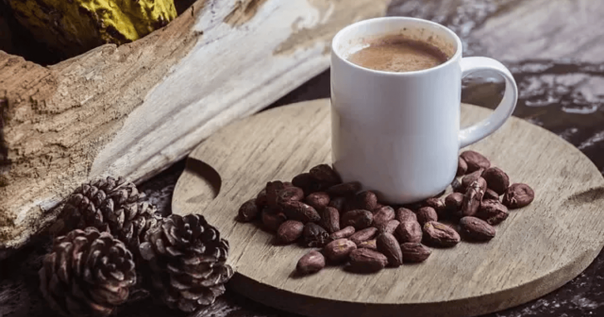 best hot chocolate mix