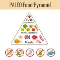 OneShare Health Blog Presents Healthy Paleo Diet to Lose Weight