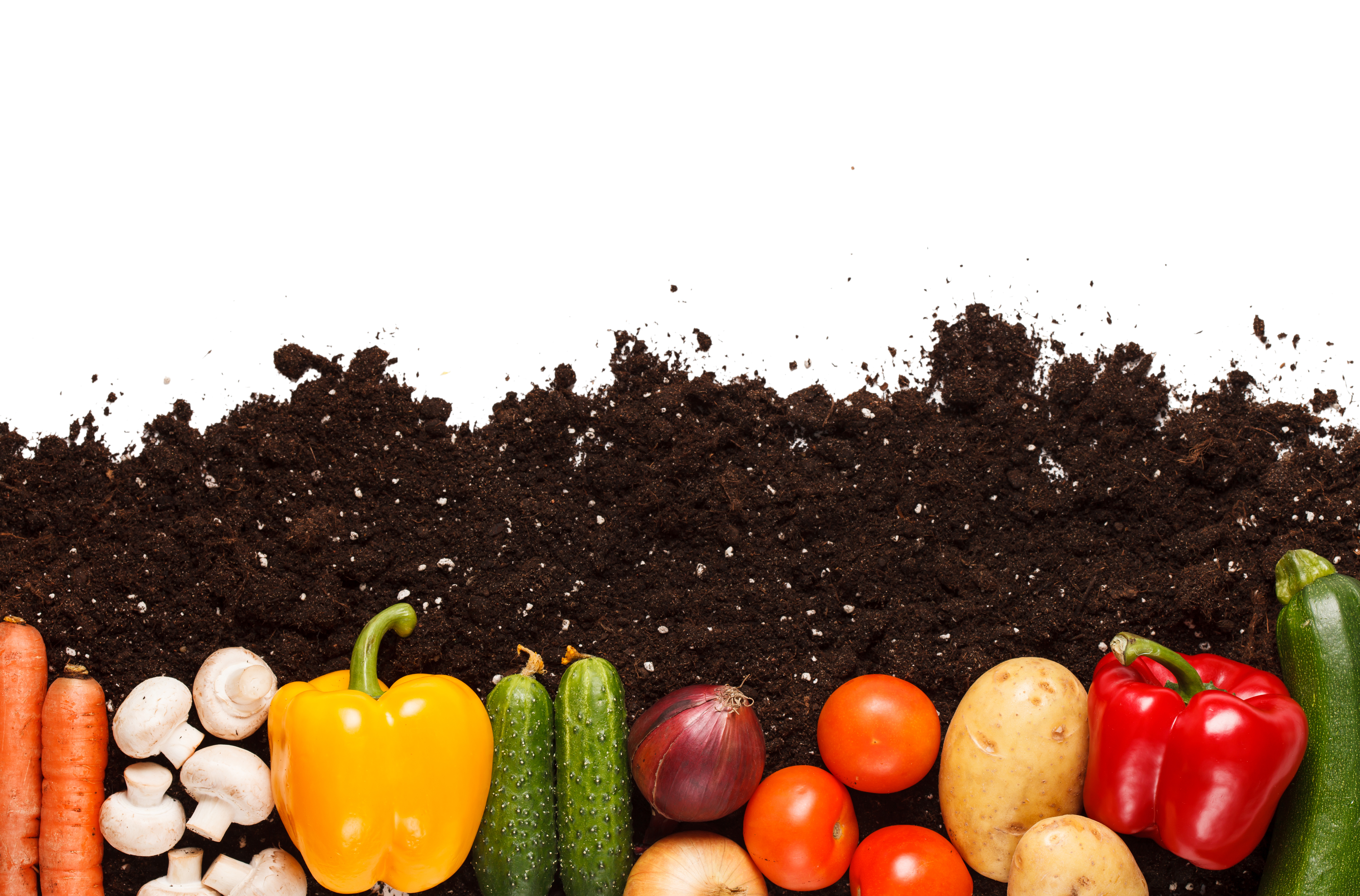 Tips on How to Eat Healthy | Christian Share Insurance Alternative | Health Share Plans