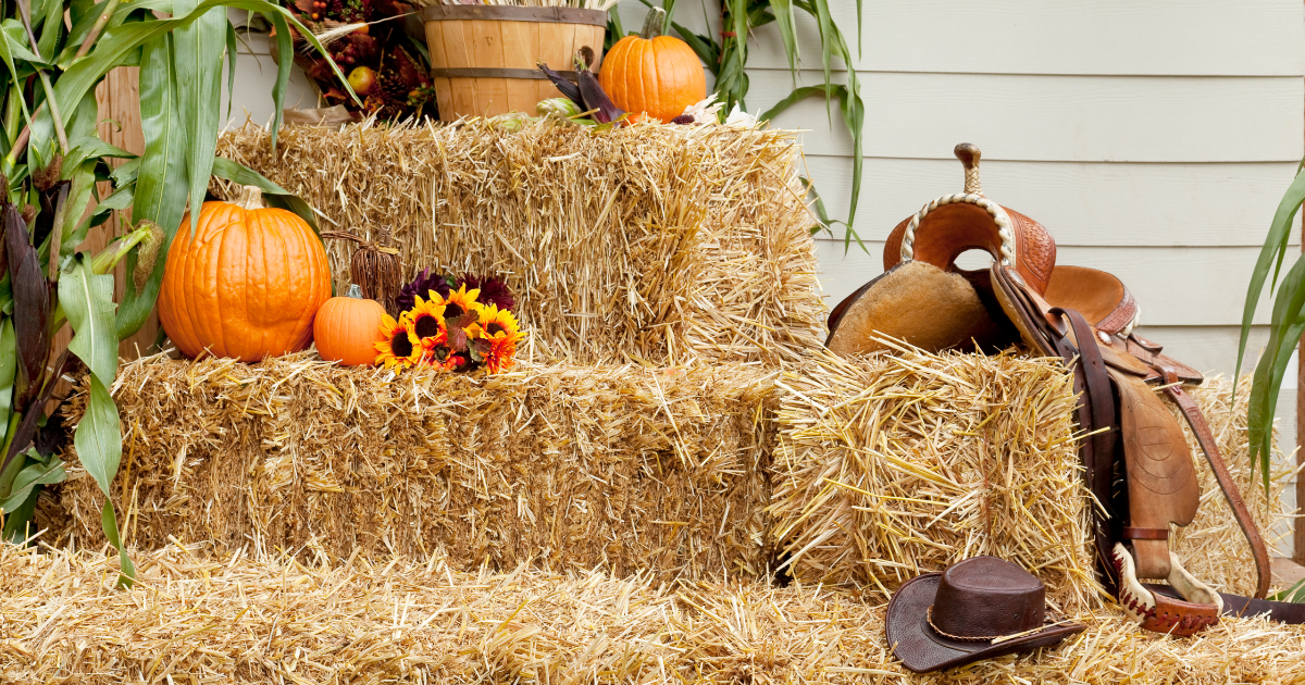 Can Christians Celebrate Halloween 