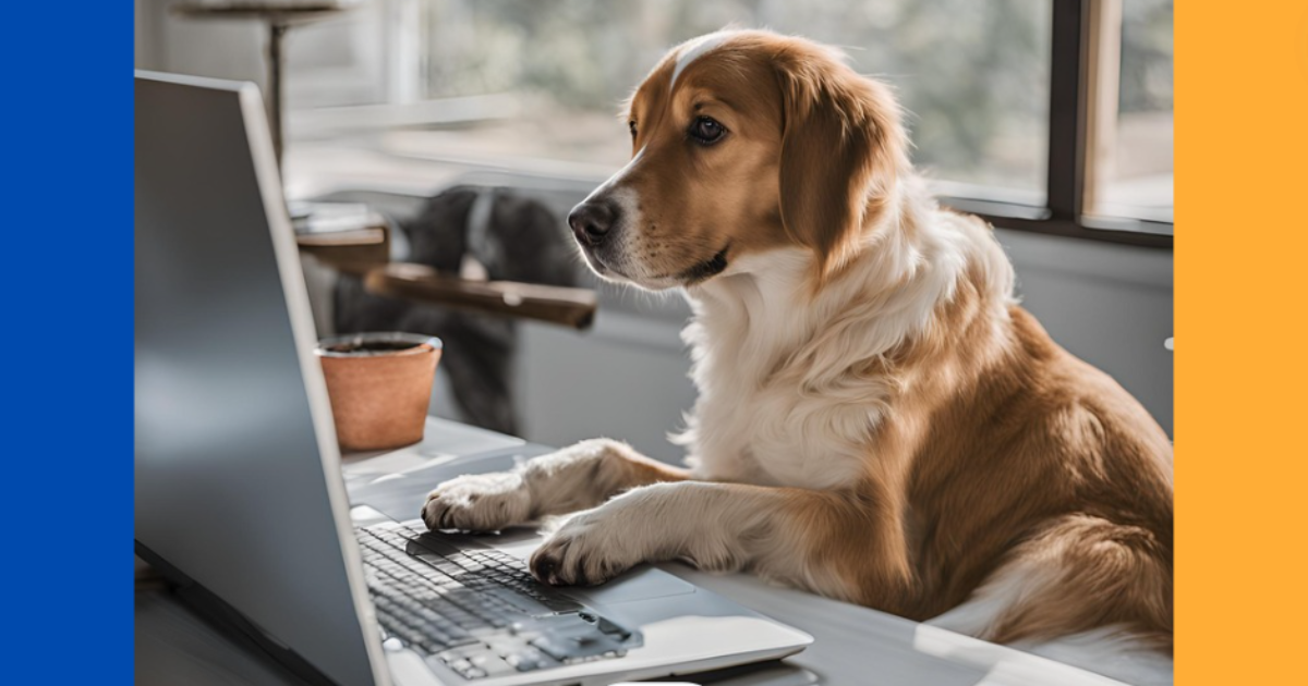 What is virtual vet care