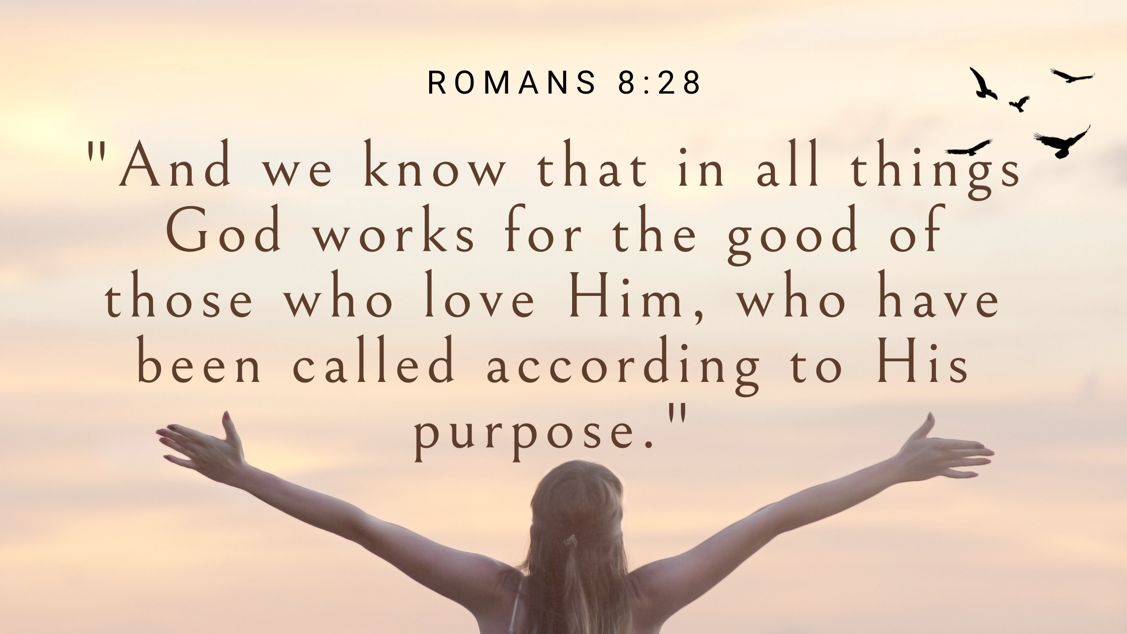 Romans 8:28