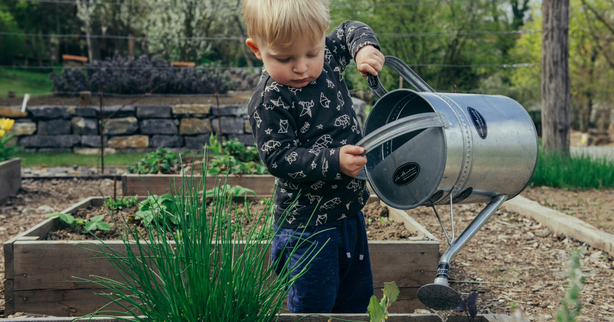 Starting a Garden? What to Plant in February.