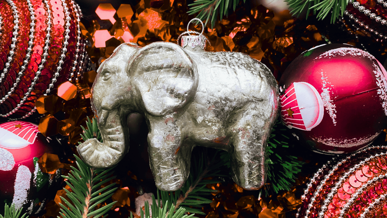 White Elephant Christmas ideas